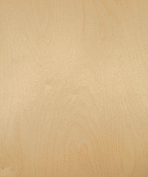 White birch wood veneer sample, rotary cut whole