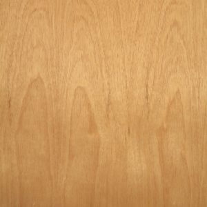 Cabinet grade mahogany wood veneer sample