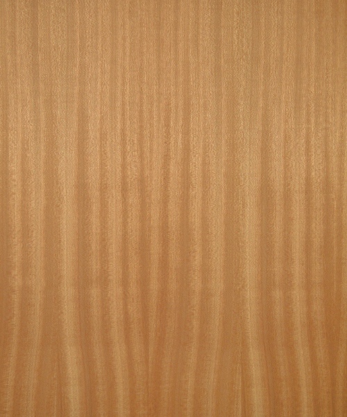 Ribbon striped mahogany wood veneer sample