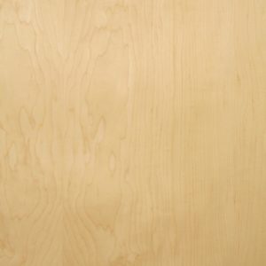 Cabinet grade maple wood veneer sample