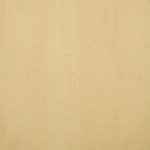 Maple wood veneer sample, quarter cut
