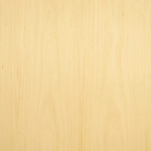 Reconstituted maple wood veneer sample, flat cut