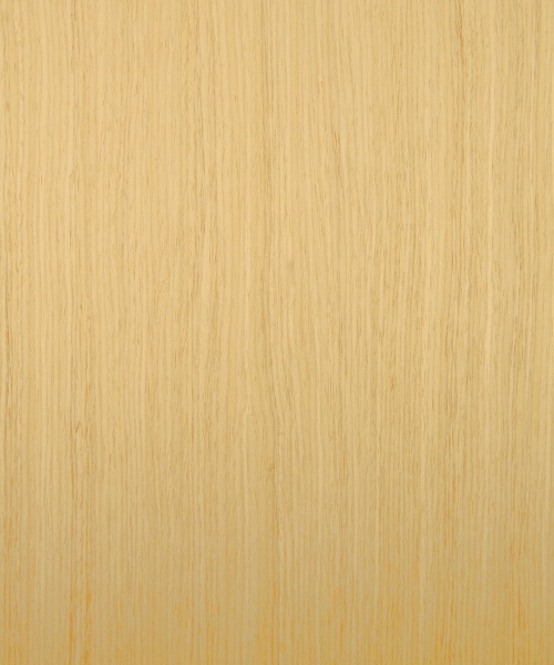 Reconstituted white oak wood veneer sample, rift cut
