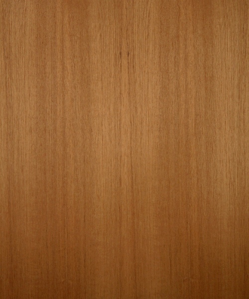 Quarter cut teak wood veneer sample