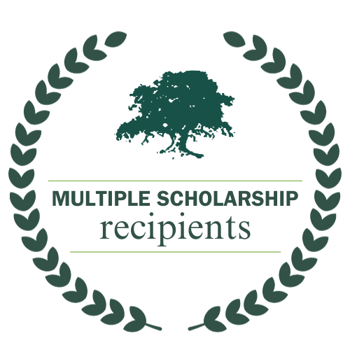 multiple scholarship recipients badge